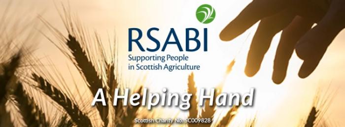RSABI helping hand banner